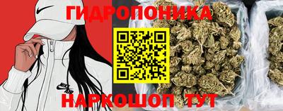 индика Обнинск