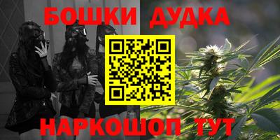 индика Обнинск