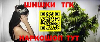 индика Обнинск