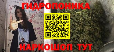 Альфа ПВП Обь