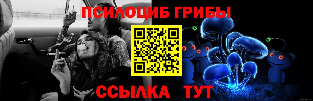 Серпухов  Галлюциногенные грибы Psilocybe  Вход с VPN 